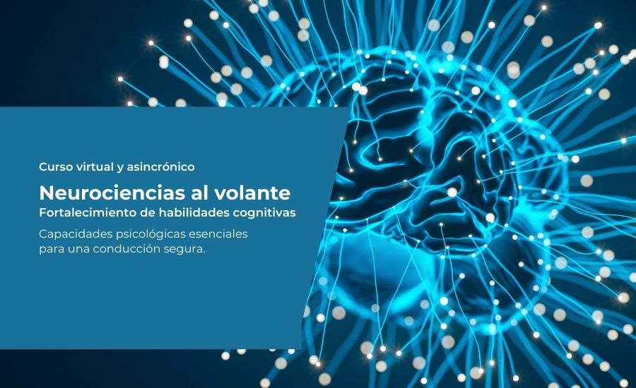 Fundación Flechabus Curso virtual neurociencias al volante