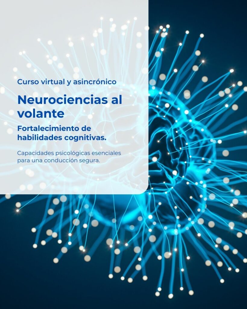 Fundación Flechabus Curso virtual neurociencias al volante